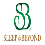 Sleep And Beyond logo