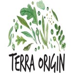 Terra Origin logo